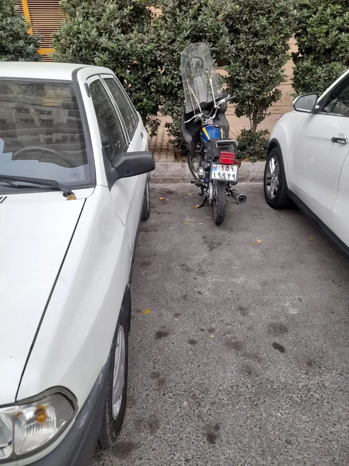 پراید81 شاسی بدونه ترک و جوش|خودرو سواری و وانت|تهران, کن|دیوار