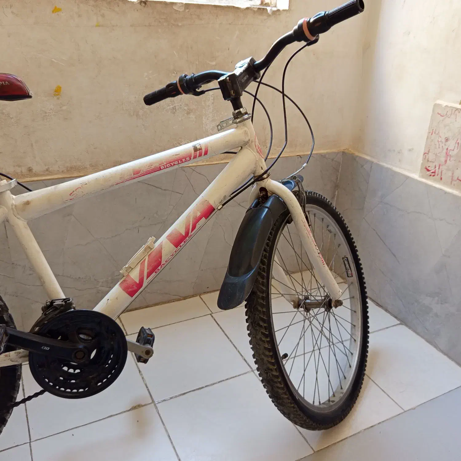 دوچرخه ۲۴|دوچرخه، اسکیت، اسکوتر|رباطکریم, نصیرشهر|دیوار