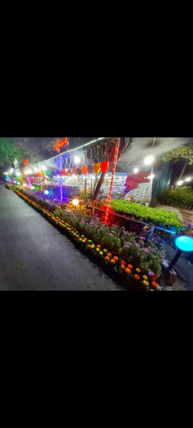 واگذاری گلخانه|فروش مغازه و غرفه|داراب, |دیوار