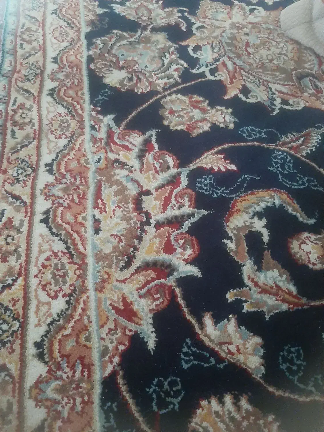 فرش خانه   مهدیه ۲۳|فرش|قرچک, مهدیه|دیوار