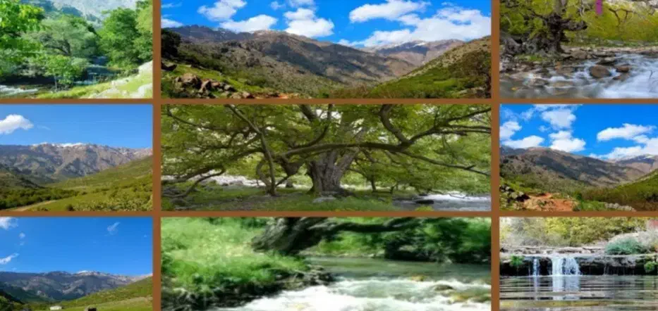 ۵۰۰متر زمین مسکونی در کهمان|فروش زمین و ملک کلنگی|الشتر, |دیوار