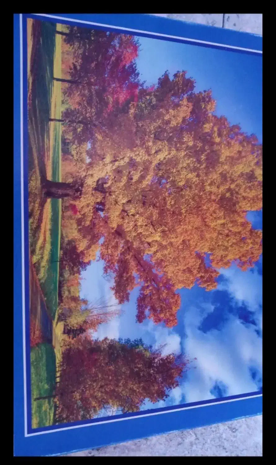 پازل|اسباببازی|سنندج, |دیوار