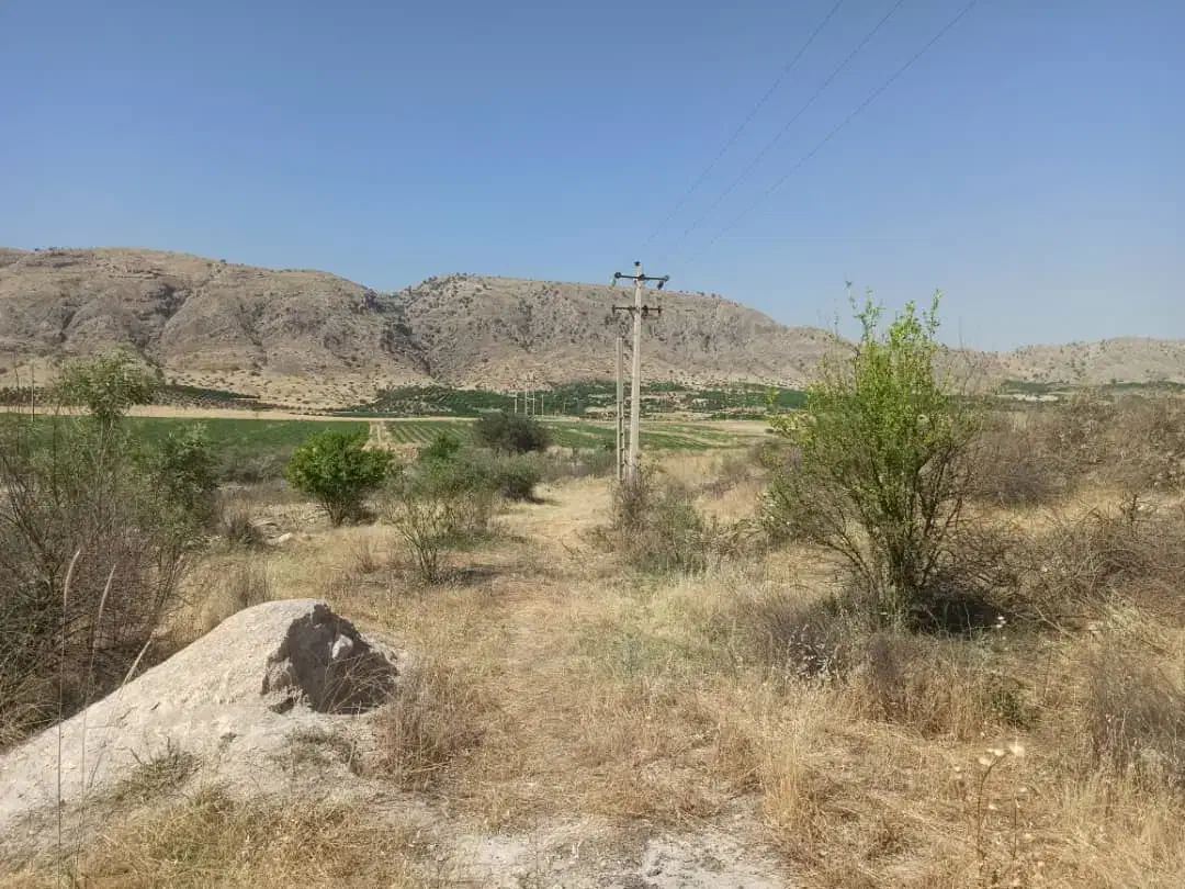 3000متر باغ لیمو|فروش خانه و ویلا|بوستان, |دیوار