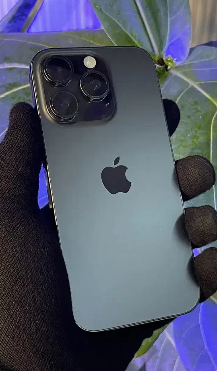 16promax|موبایل|دماوند, گیلاوند|دیوار