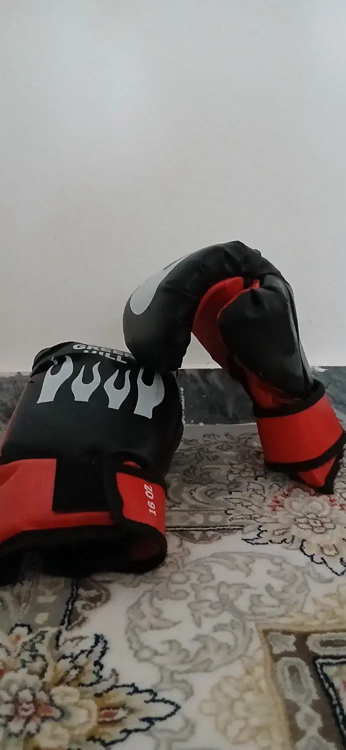 دستکش بوکس|تجهیزات ورزشی|رشت, ولکس|دیوار