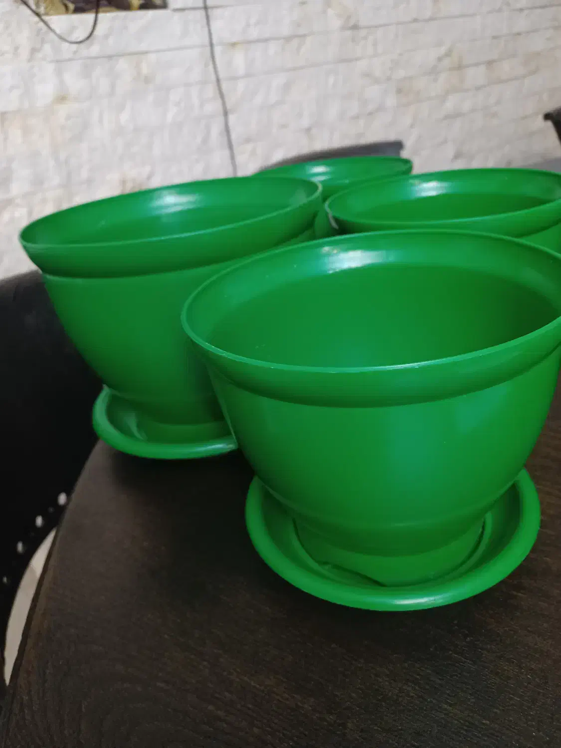 گلدان های سبز|گل و گیاه طبیعی|تهران, مهرآباد جنوبی|دیوار