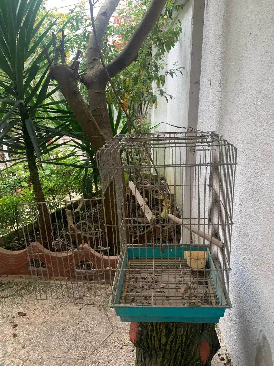 قفس پرنده|لوازم جانبی حیوانات|تهران, پاسداران|دیوار