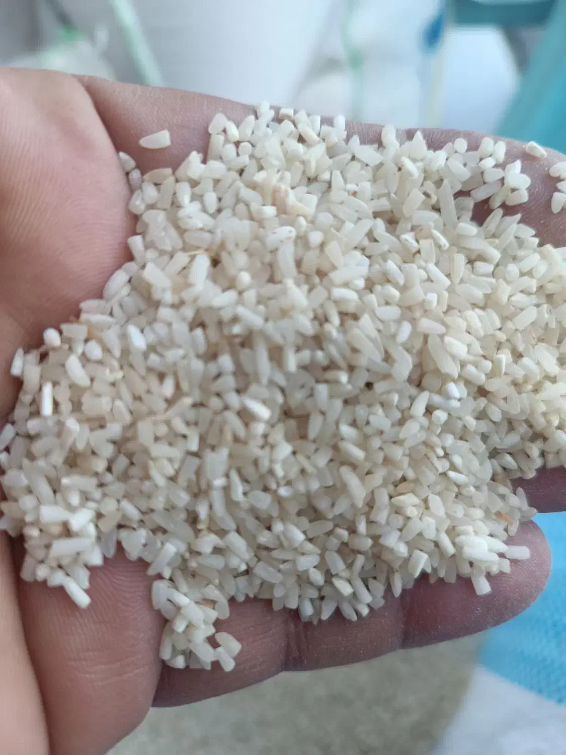 برنج سرلاشه هاشمی دودی|خوردنی و آشامیدنی|ری, شهید بهشتی|دیوار