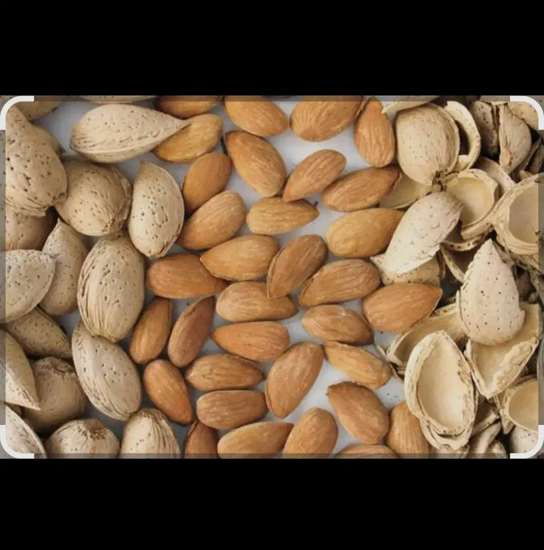 بادام شکن|خدمات باغبانی و درختکاری|بافت, |دیوار