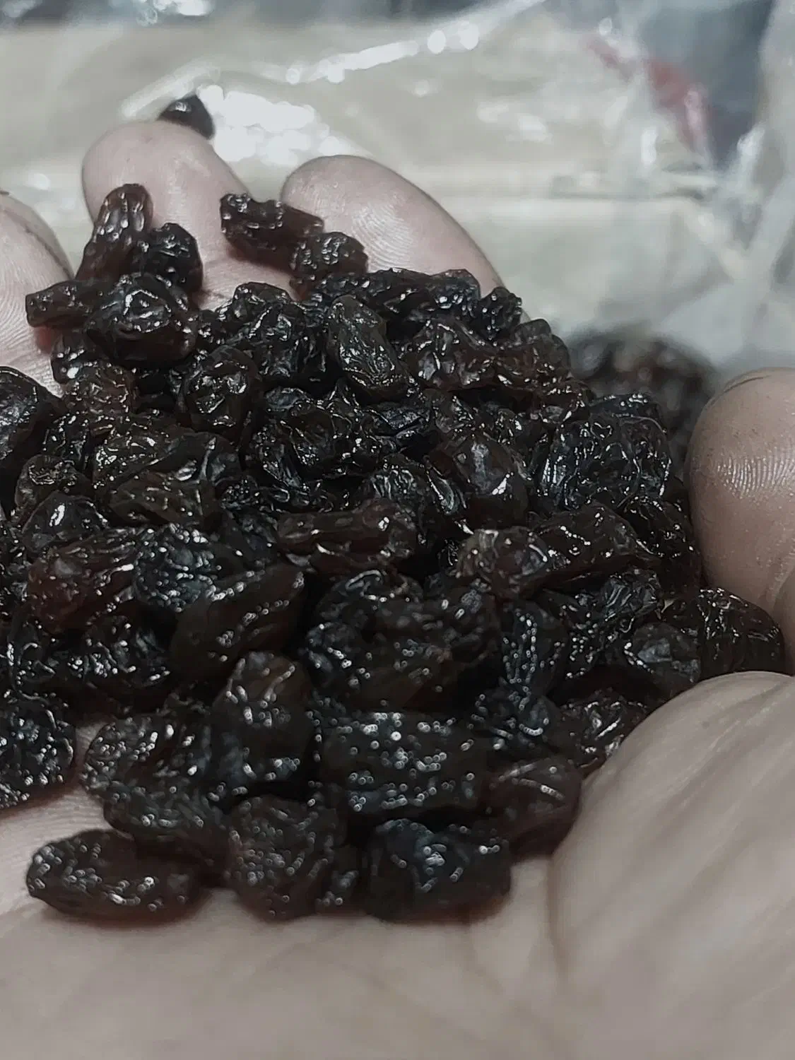 کشمش آفتابی پلویی پاک شده|خوردنی و آشامیدنی|بناب, |دیوار