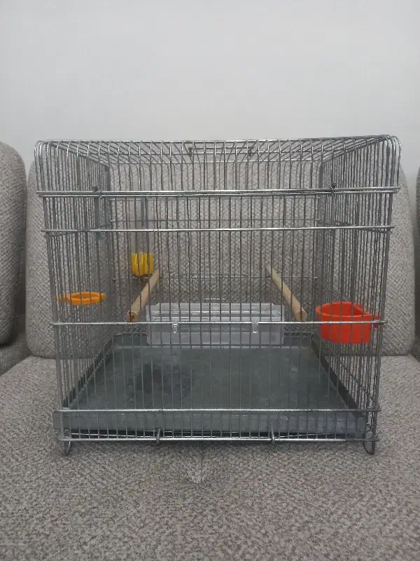 قفس سهره|لوازم جانبی حیوانات|تاکستان, |دیوار