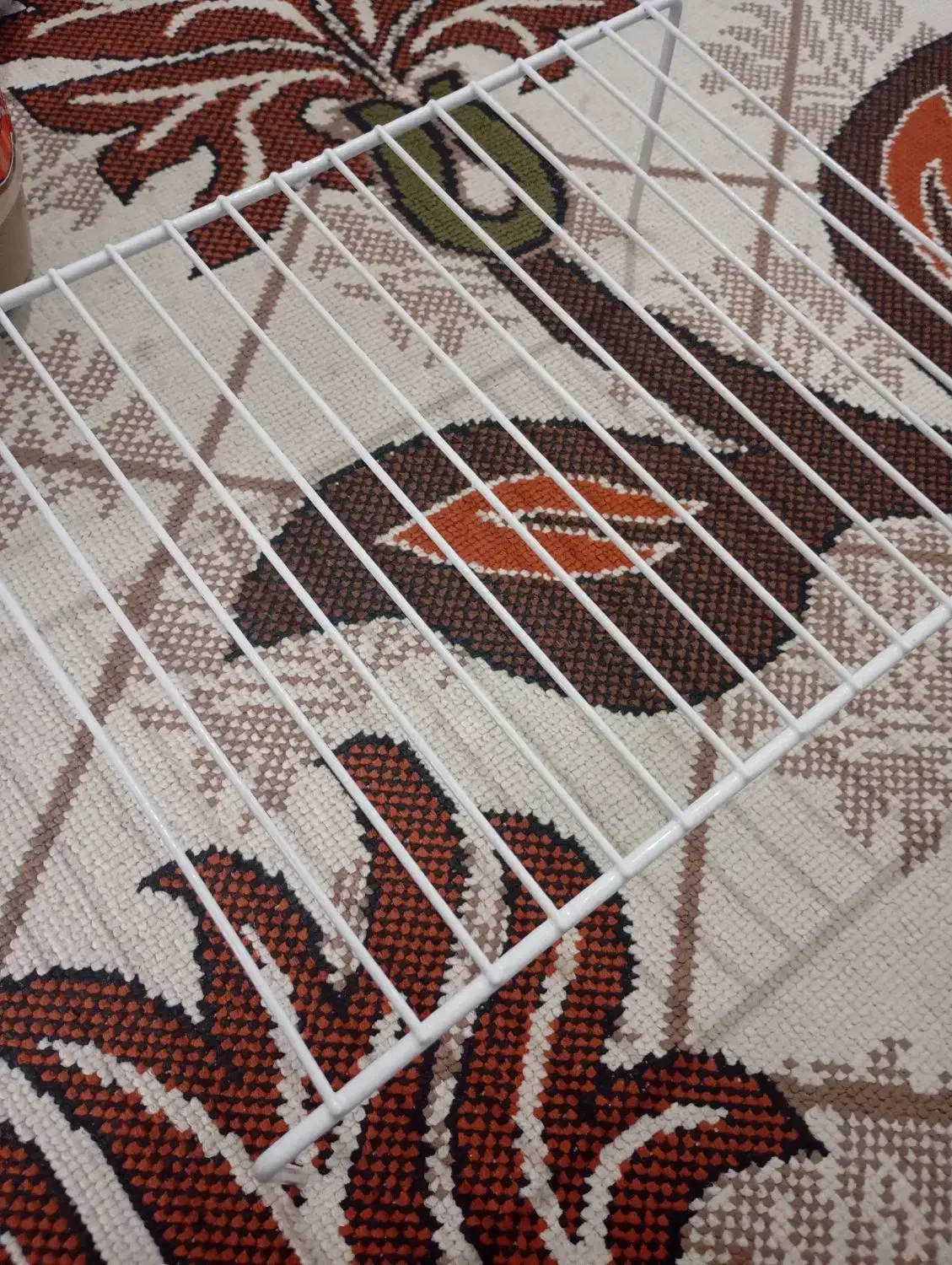 دو عدد راف داخل کابینت|آب‌چکان و نظم‌دهنده ظروف|خرمدره, |دیوار