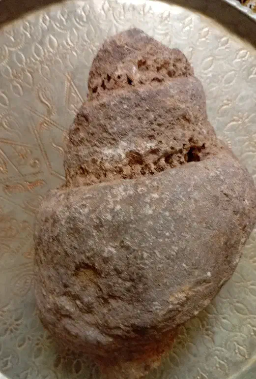 سنگواره و فسیل|کلکسیون اشیاء عتیقه|تفرش, |دیوار