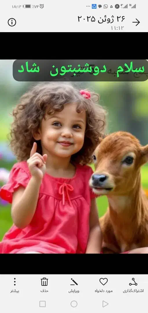 یک عدد نربان ۷ ماهه کرد درجه یک پر خون|حیوانات مزرعه|کامفیروز, |دیوار