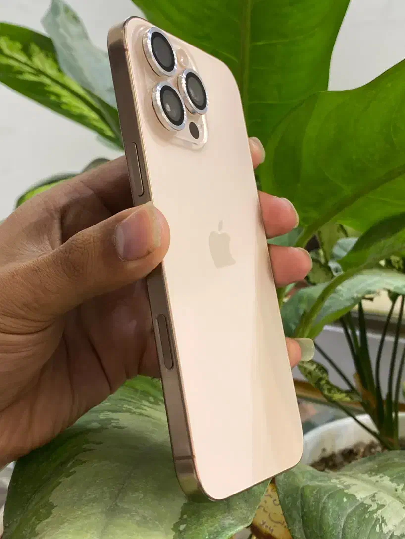 16 pro max|موبایل|مشهد, طلاب|دیوار