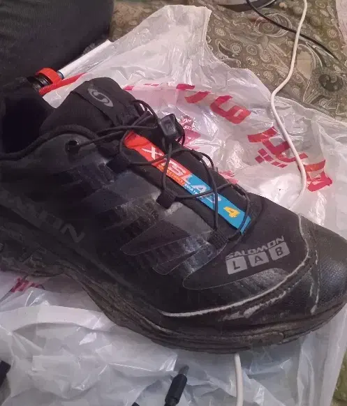 کفش کتونی مردانه و زنانه|کیف، کفش، کمربند|خسروشاه, |دیوار