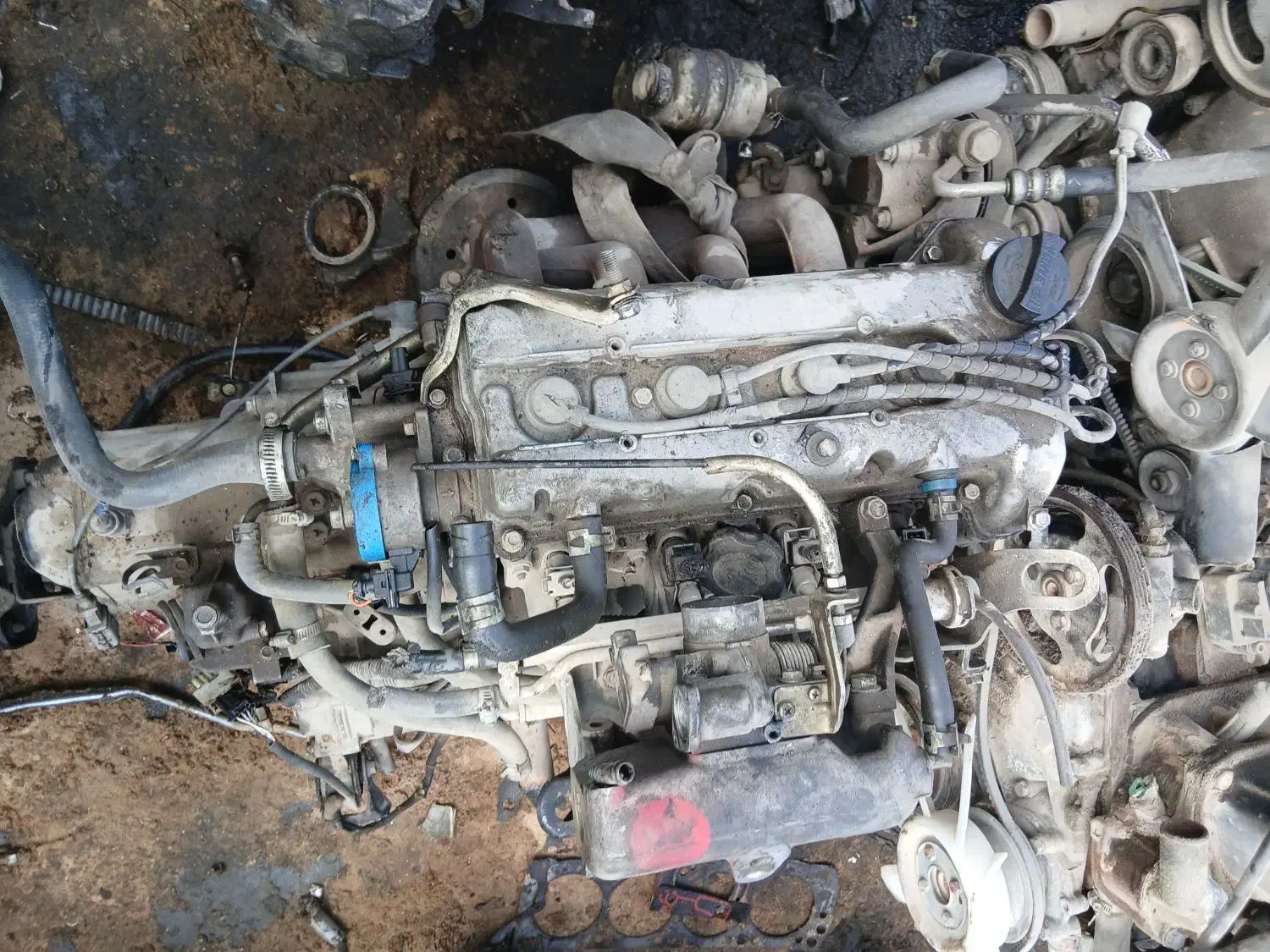 mwm110سرسیلندر گیربکس موتور|قطعات یدکی و لوازم جانبی|شیراز, ریشمک|دیوار