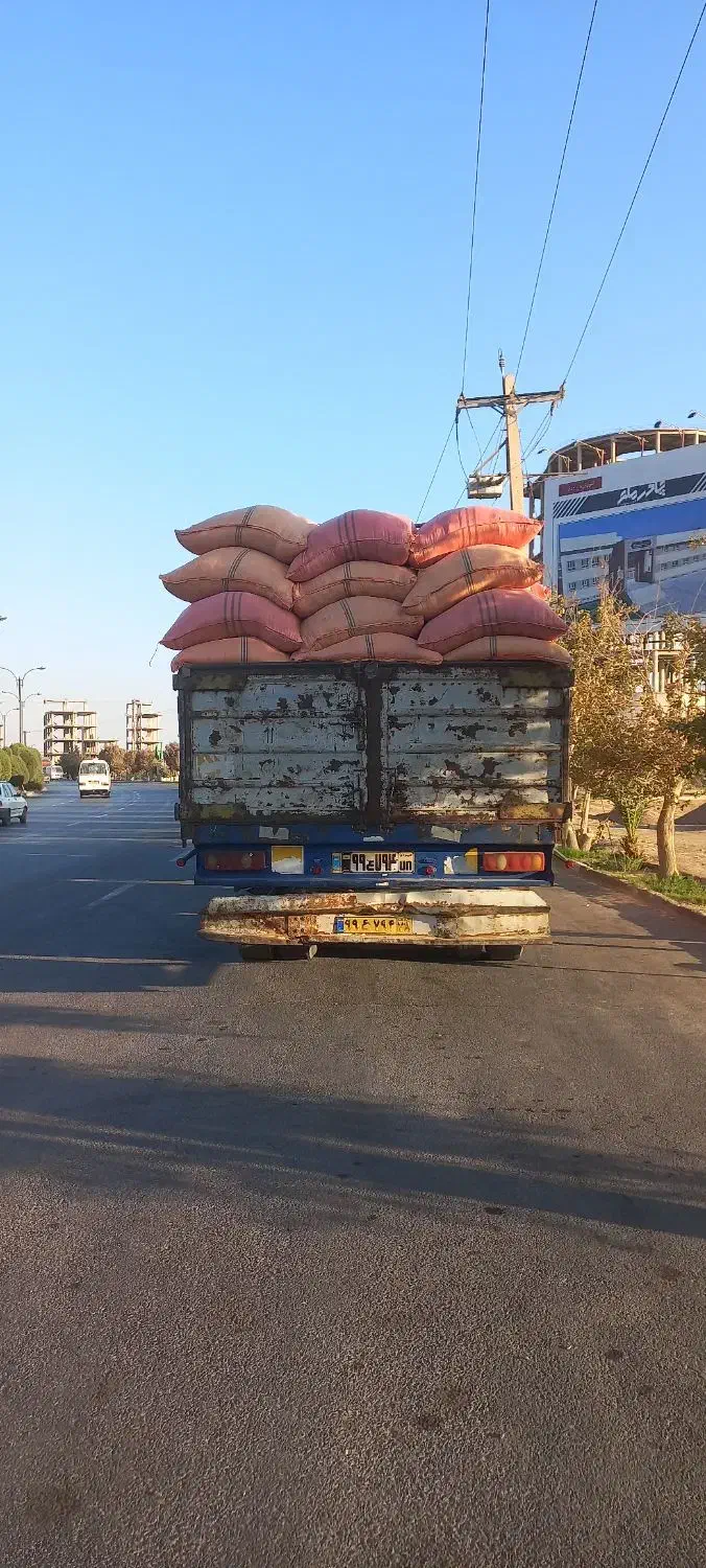 کاه|عمده‌فروشی|یزد, |دیوار