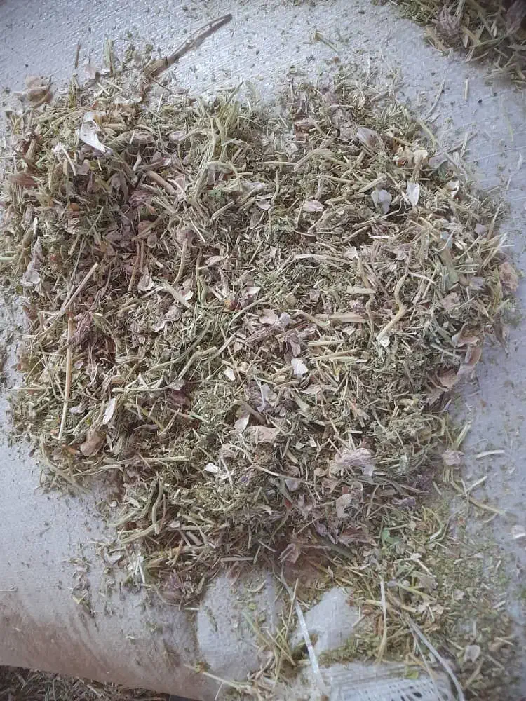 کاه لوبیا چیتی|عمده‌فروشی|باغ حلی, |دیوار