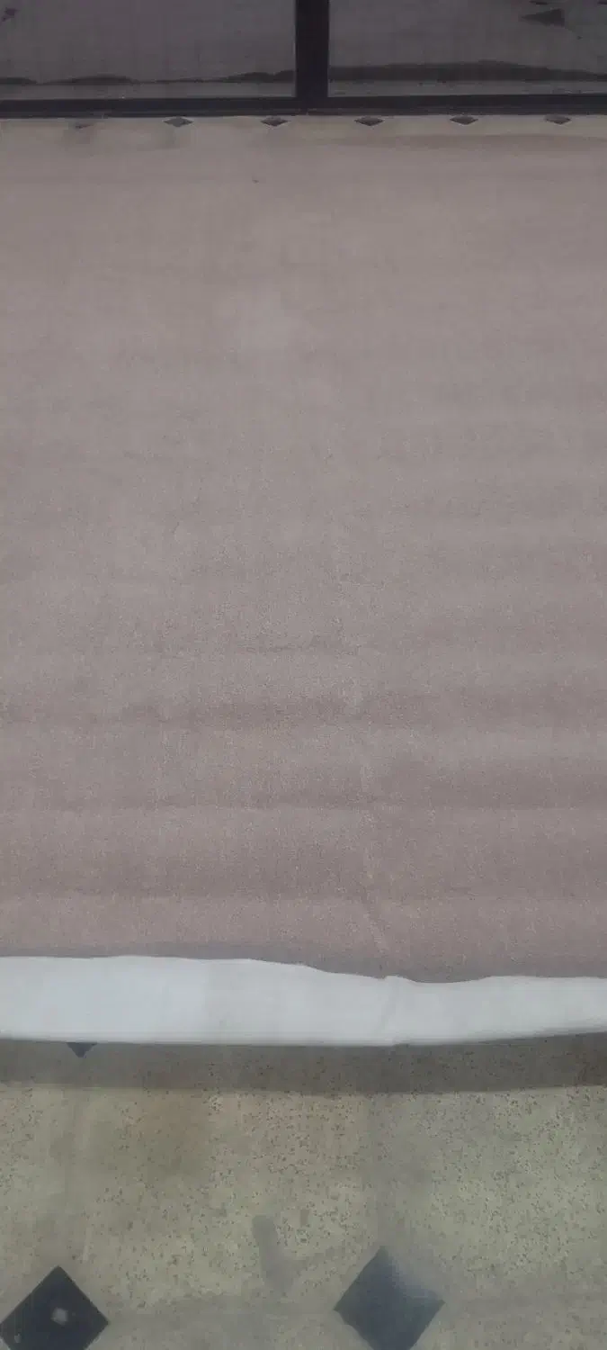 موکت ظریف|موکت|همدان, |دیوار