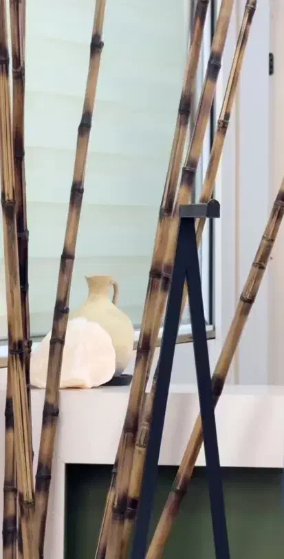 بامبو|گل و گیاه طبیعی|گرگان, |دیوار