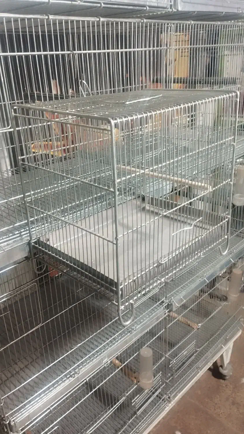 قفس پرنده|لوازم جانبی حیوانات|ری, جوانمرد قصاب|دیوار
