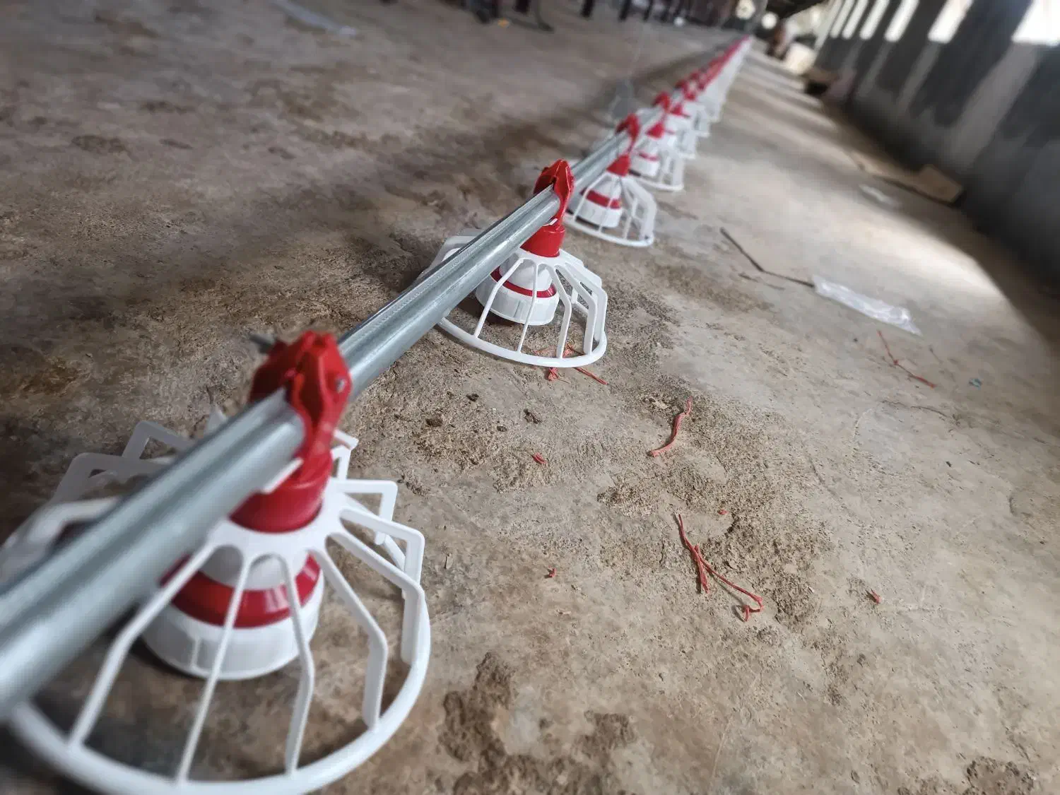 تجهیزات مرغداری|ماشین‌آلات صنعتی|آوج, |دیوار