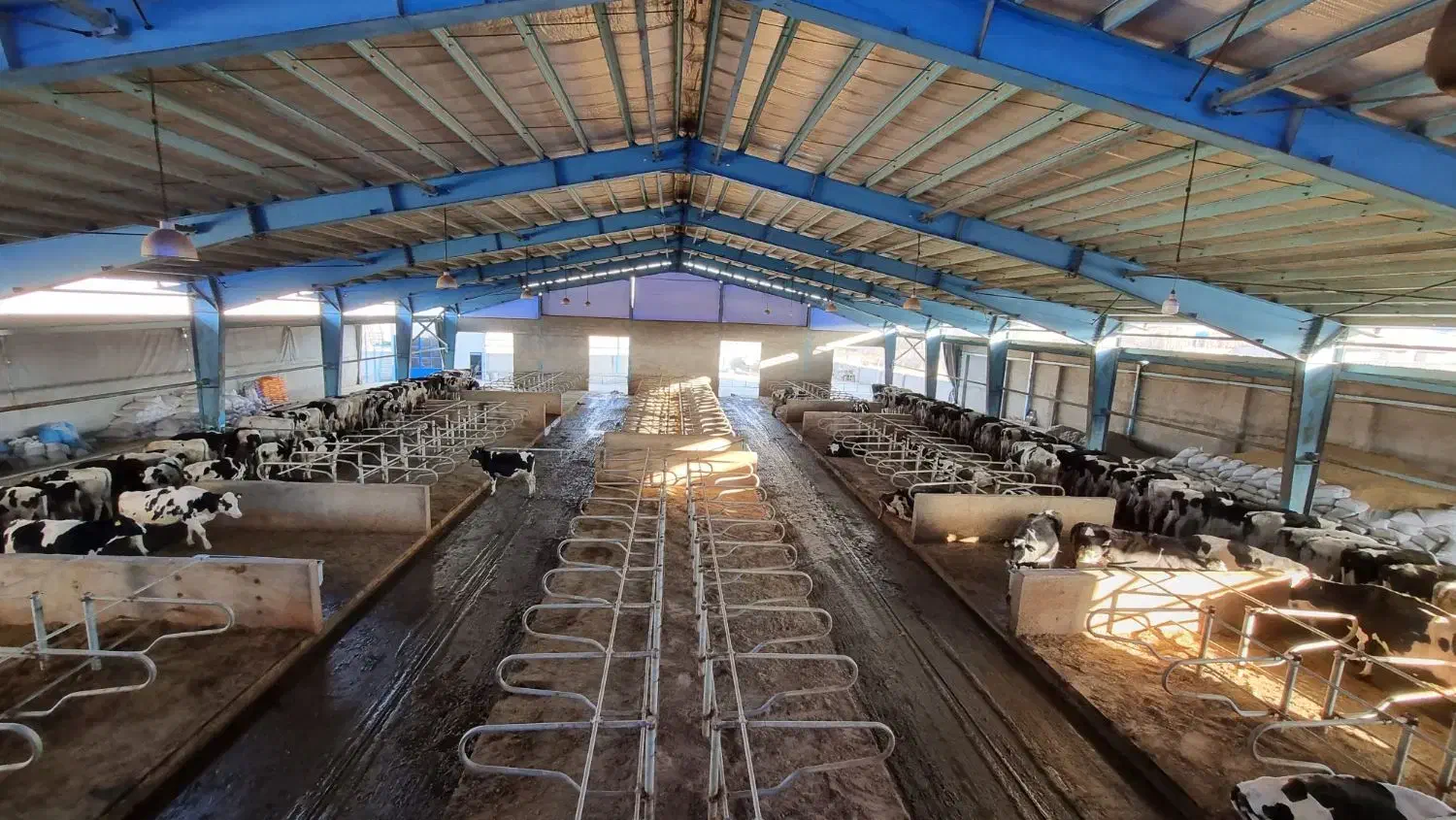 کارگر گاوداری|استخدام سرایداری و نظافت|تبریز, |دیوار