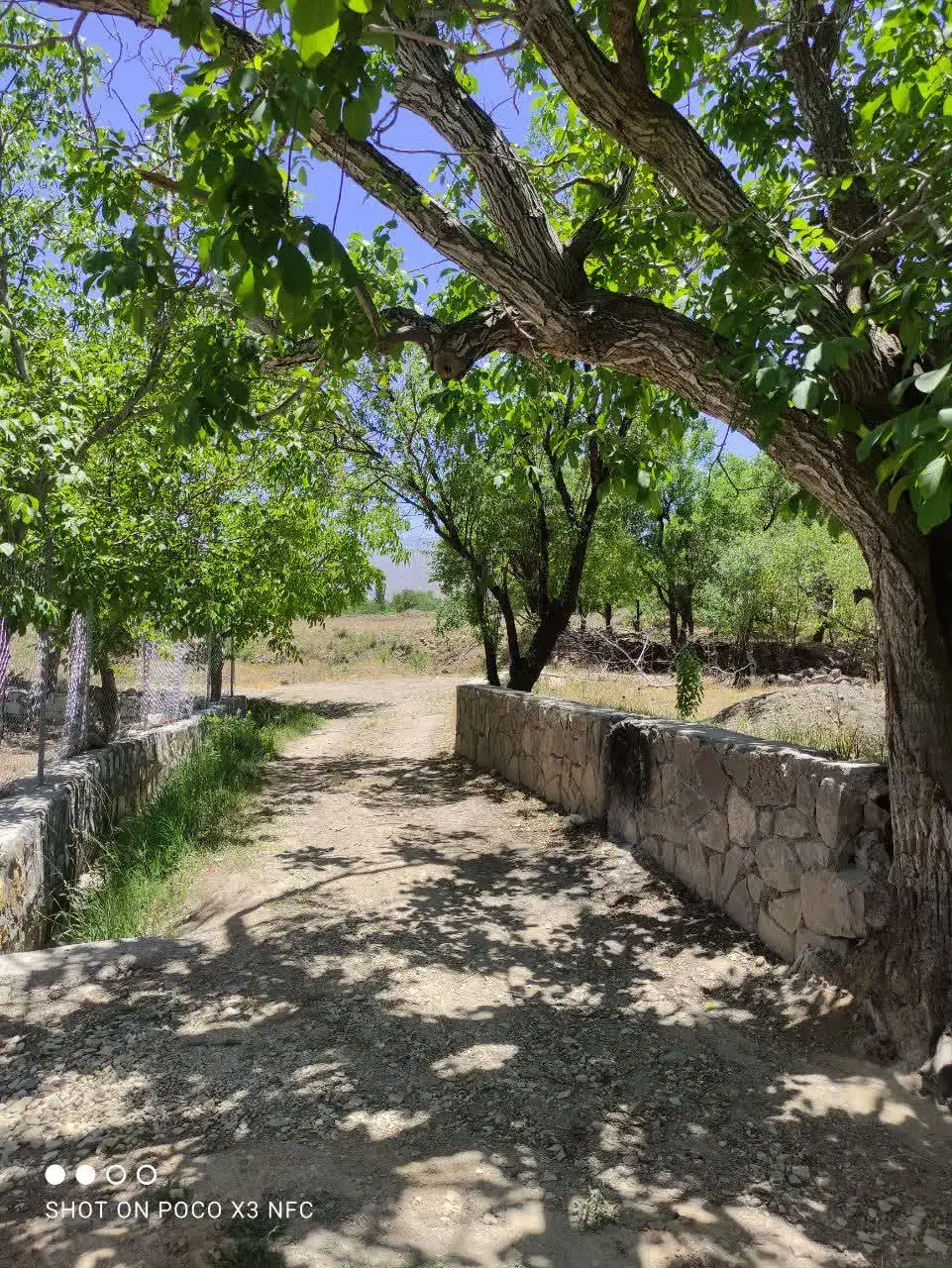 ویلا باغ تفرش با چاه اب اختصاصی تهاتر|فروش خانه و ویلا|قم, کیوانفر|دیوار