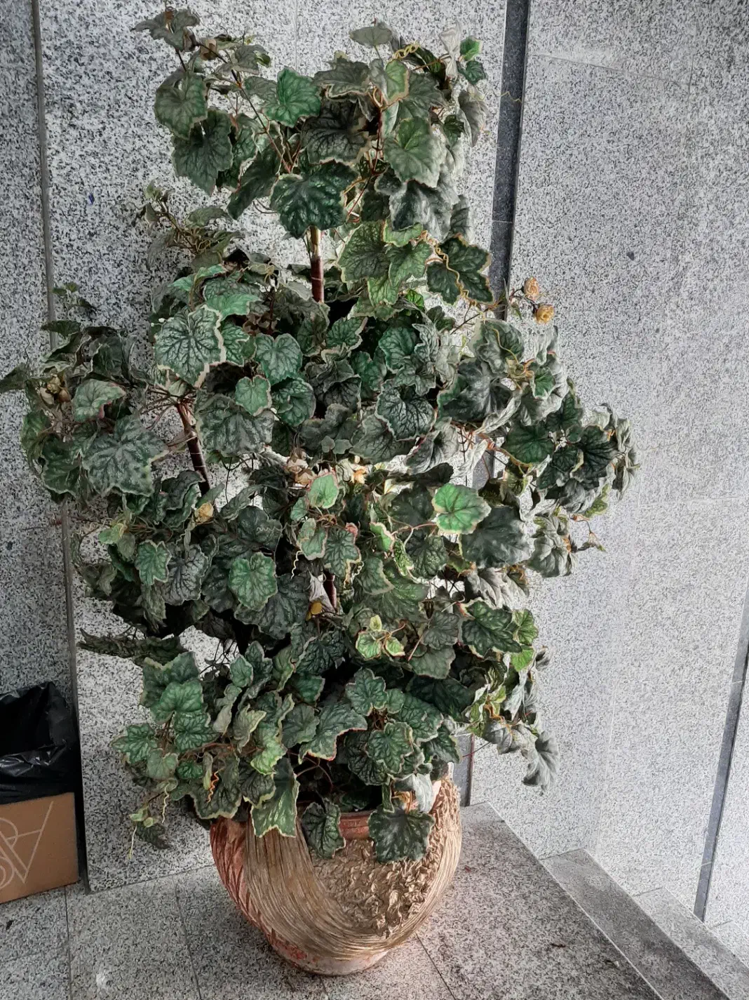 گل ممصنوعی|گل مصنوعی|تهران, ابوذر|دیوار