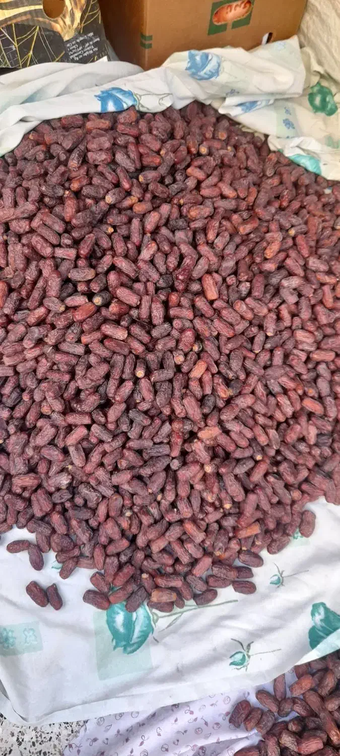 خرما پیارم درجه یک کیلویی ۴۵۰ درجه دو کیلویی ۲۰۰|عمده‌فروشی|سیرجان, |دیوار