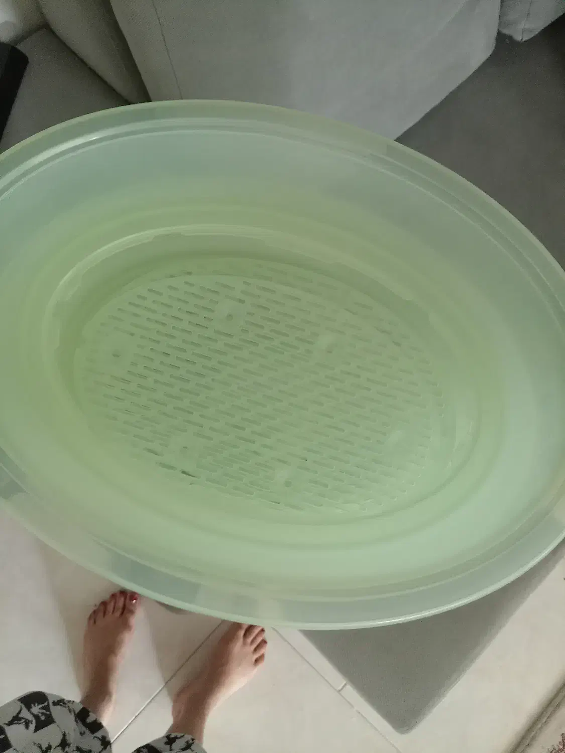 بخارپز برقی|اجاق گاز و لوازم برقی پختوپز|قوچان, |دیوار