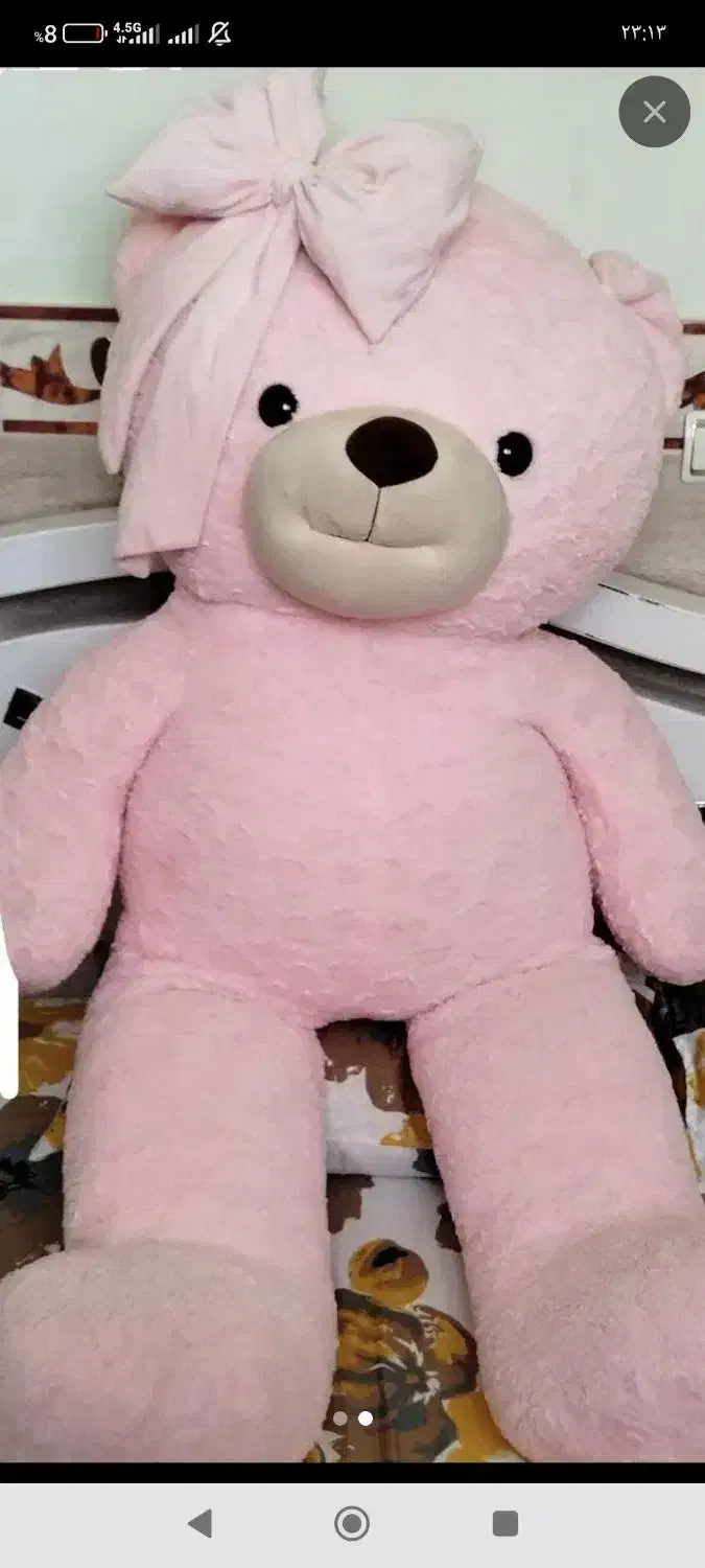 خرس خارجی|اسباب‌‌بازی|زنجان, |دیوار