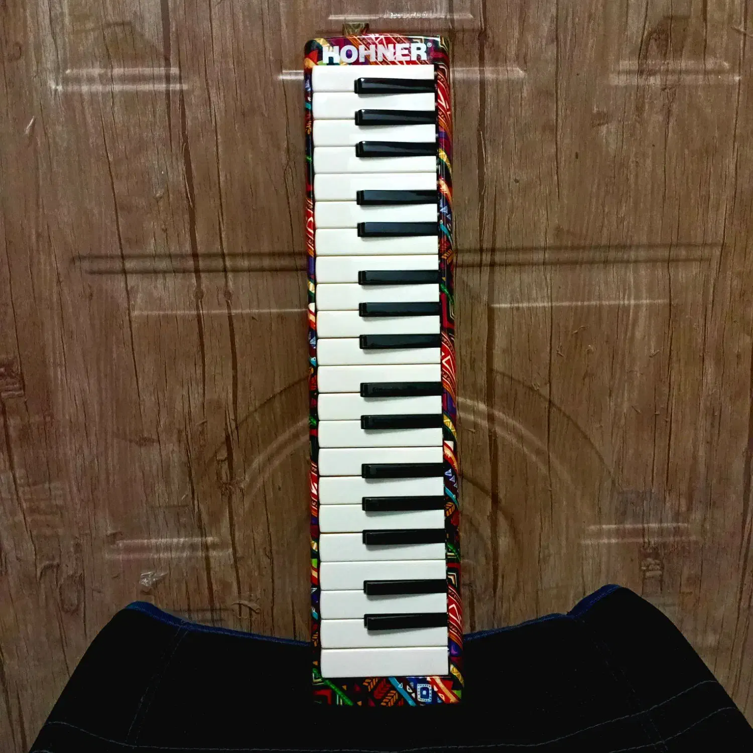 مولودیکا ۳۷ کلید (HOHNER)  طرح چند رنگ|پیانو، کیبورد، آکاردئون|کیش, |دیوار
