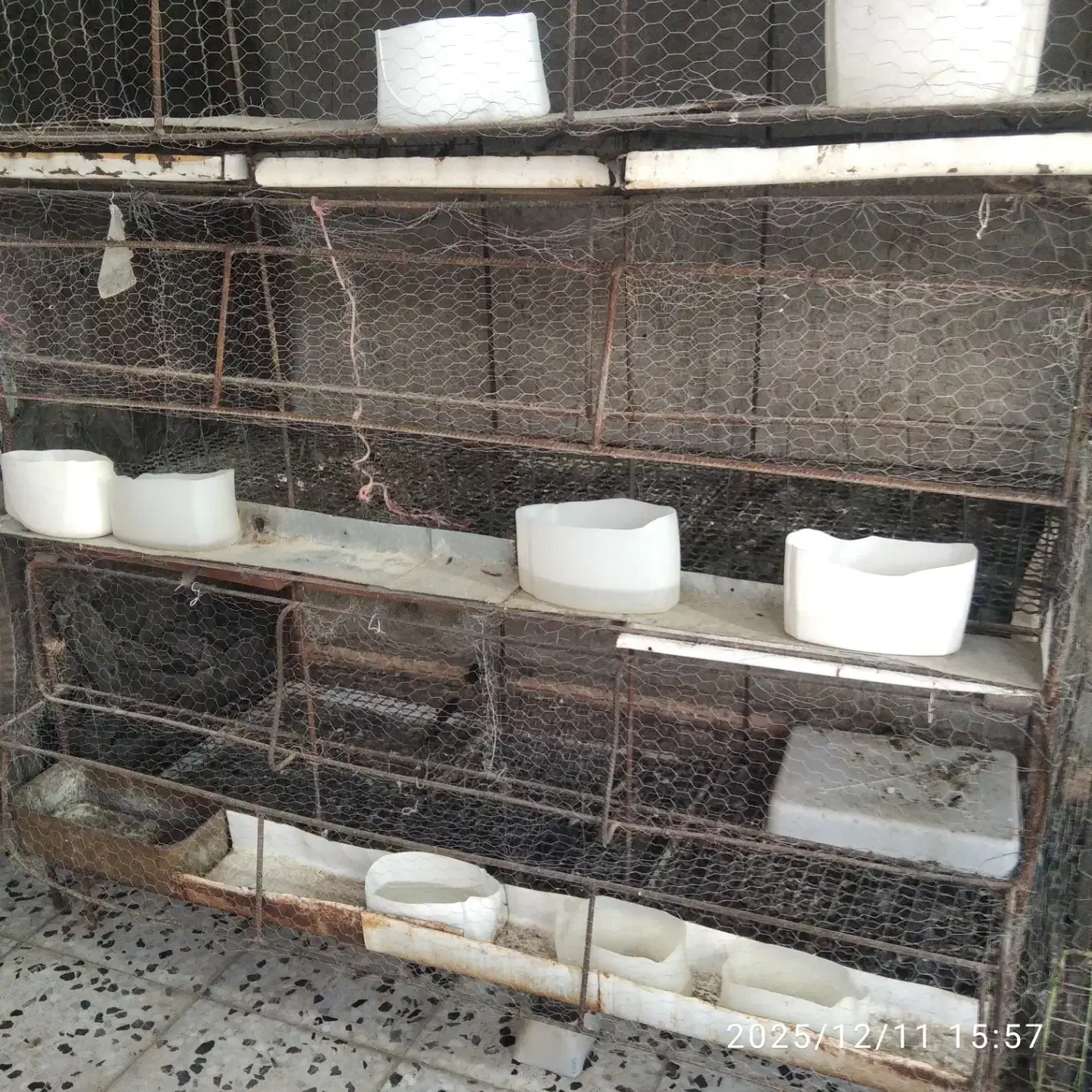 قفس سه طبقه|لوازم جانبی حیوانات|داراب, |دیوار