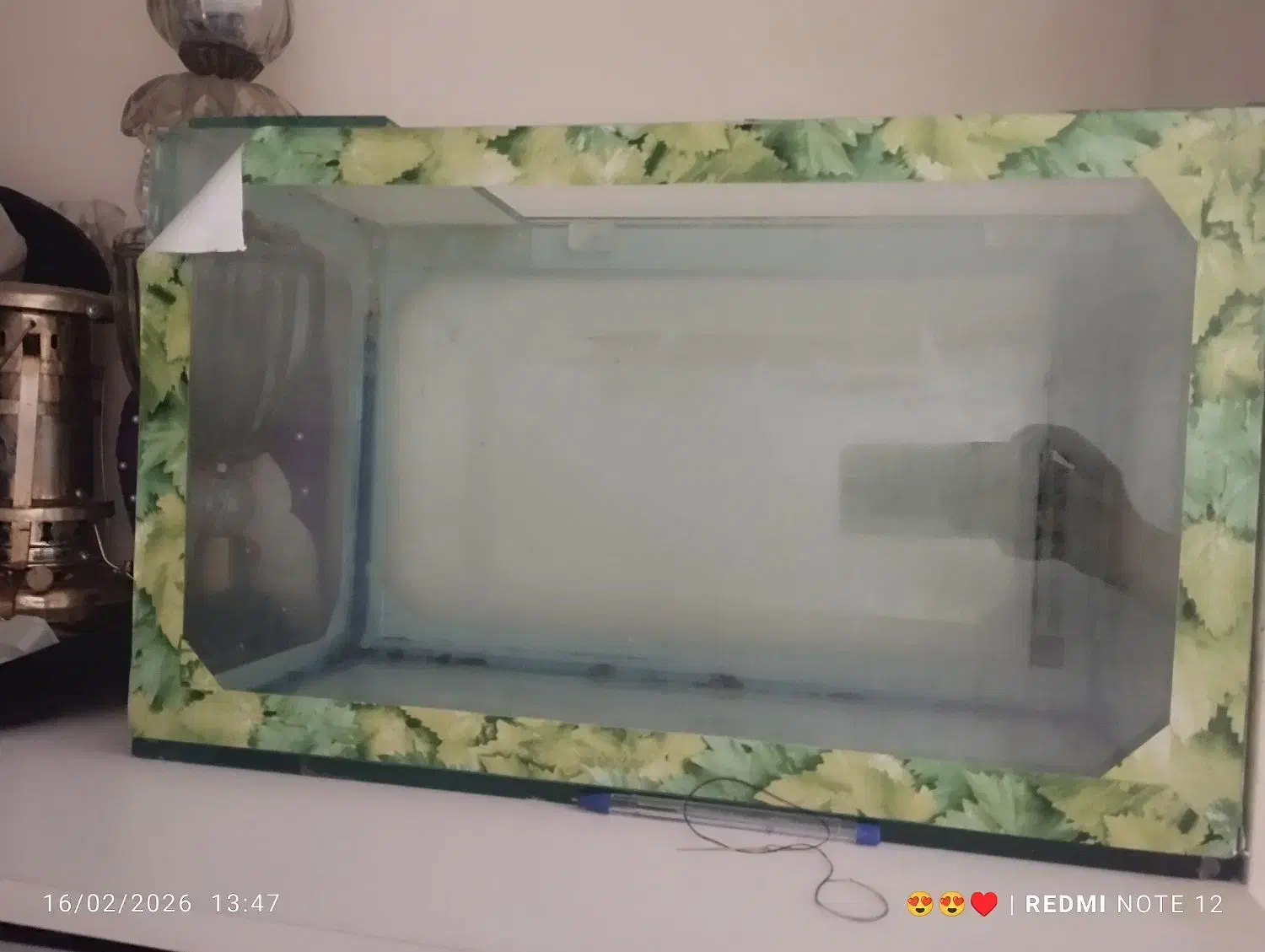 آکواریوم|ماهی|پرند, فاز ۶|دیوار