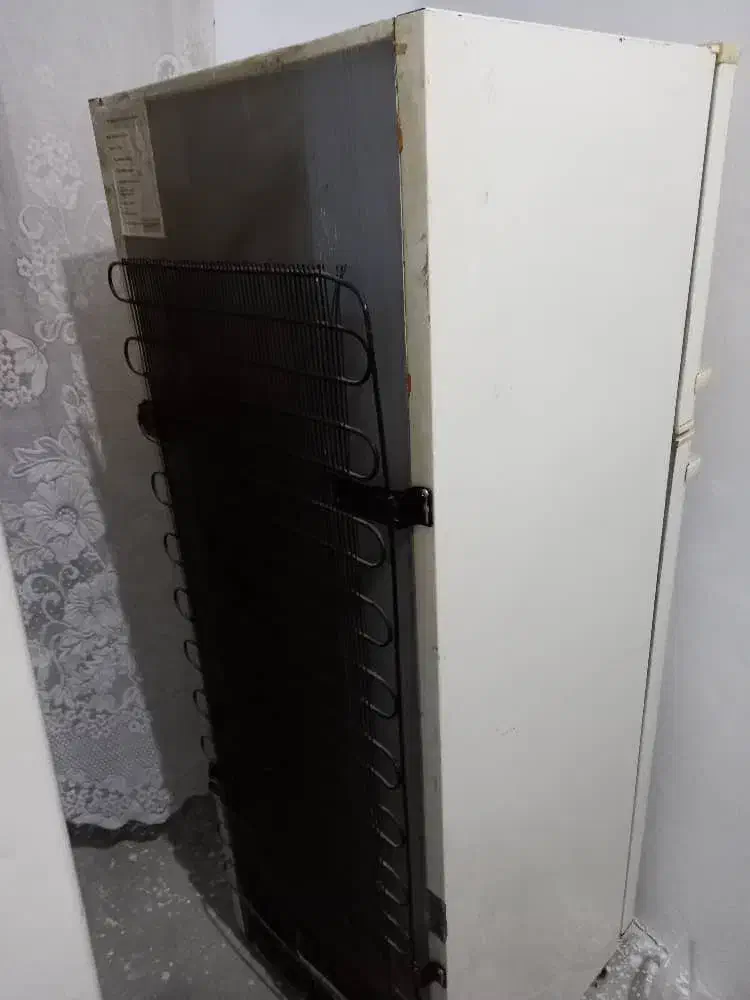 یخچال اسنوا|یخچال و فریزر|صومعه‌سرا, |دیوار