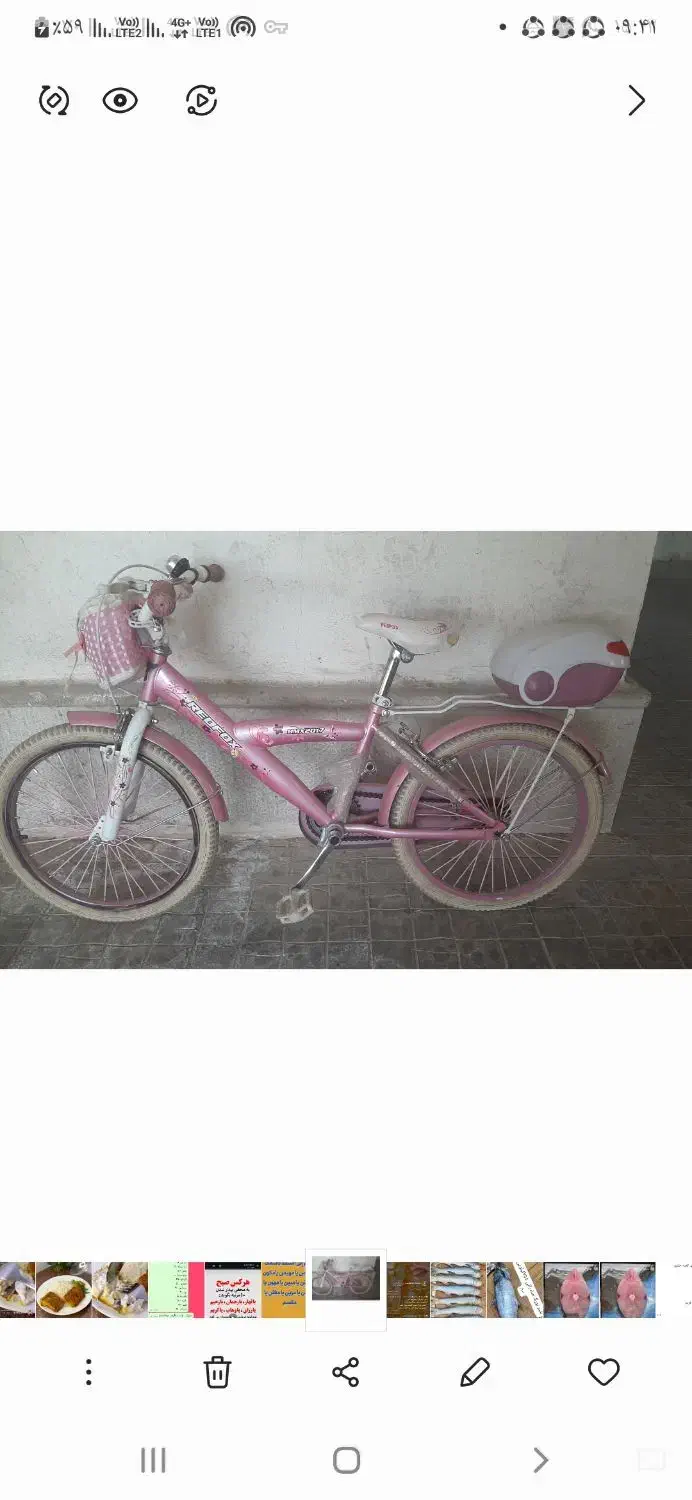 دوچرخه دخترانه درحدنو|دوچرخه، اسکیت، اسکوتر|صدرا-فارس, فاز ۱|دیوار