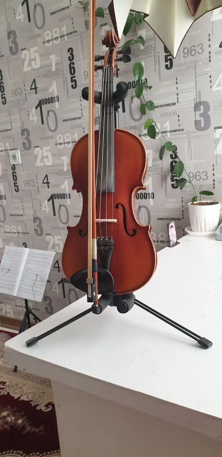 Tf142|ویولن|همدان, |دیوار