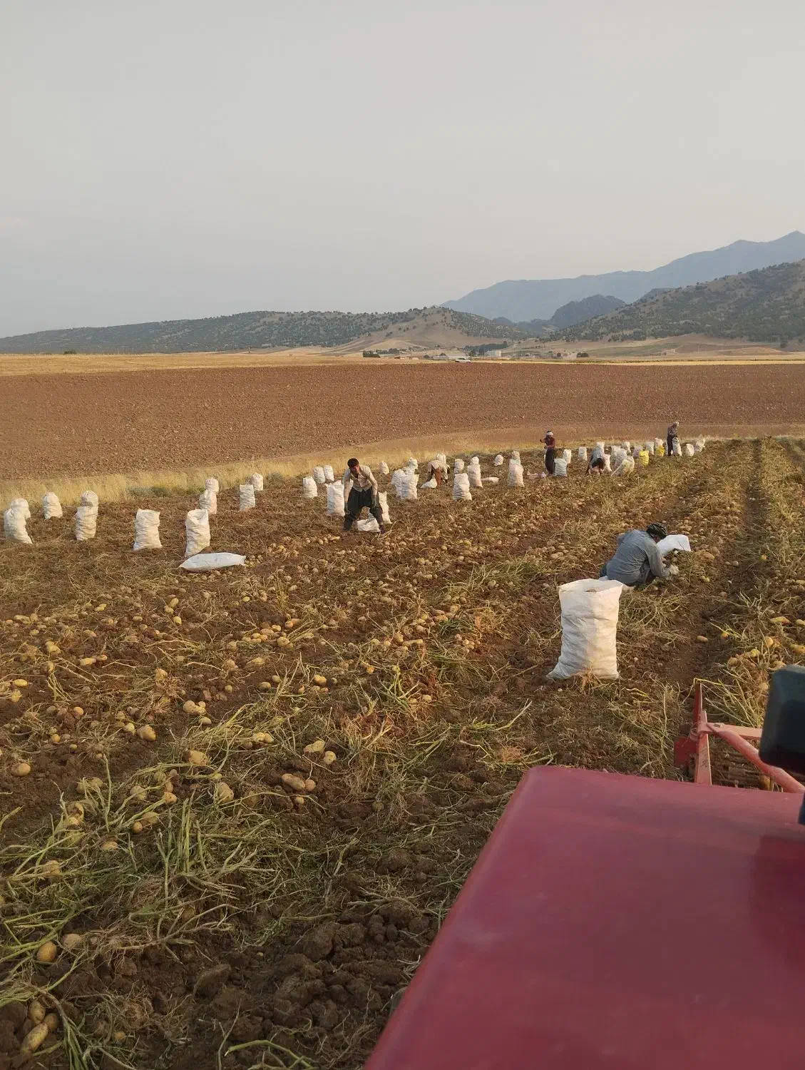 لوله ۶۳|عمدهفروشی|خرمآباد, |دیوار