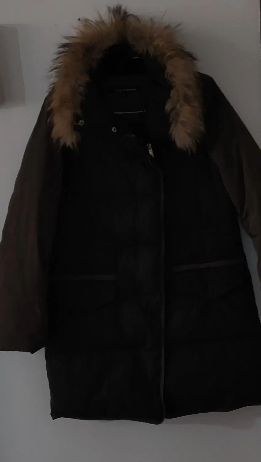 کاپشن نو|لباس|زاهدان, |دیوار