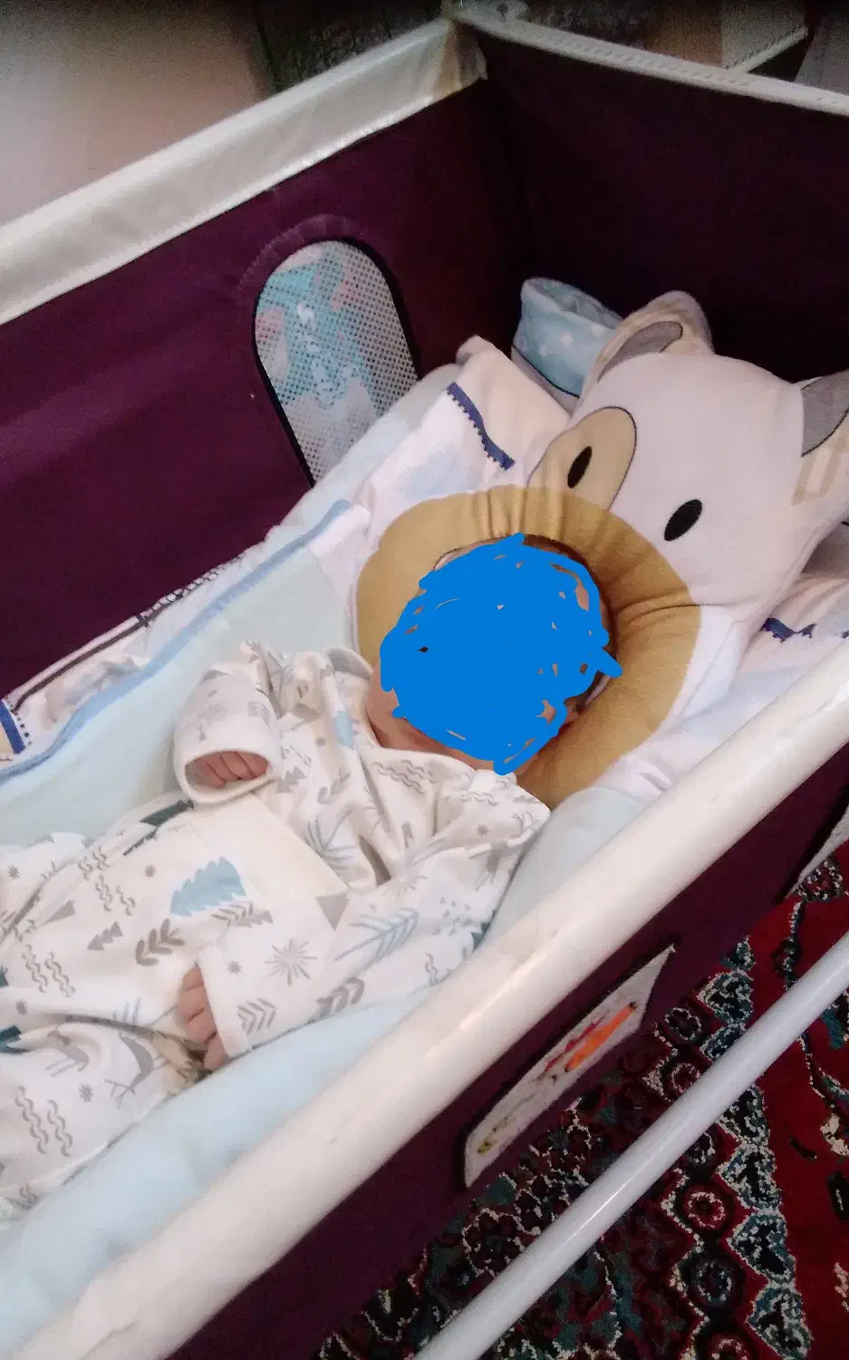 گهواره نوزاد شادی خوش رنگ و نو|اسباب و اثاث بچه|تربت‌حیدریه, کاشانی|دیوار