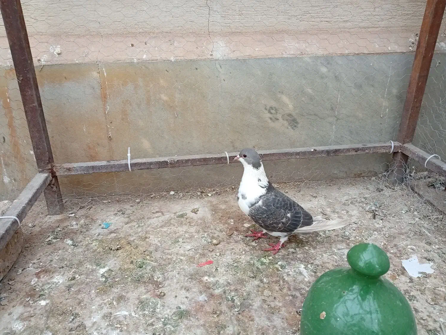 پلاس کبود|حراج|قم, کلهری|دیوار