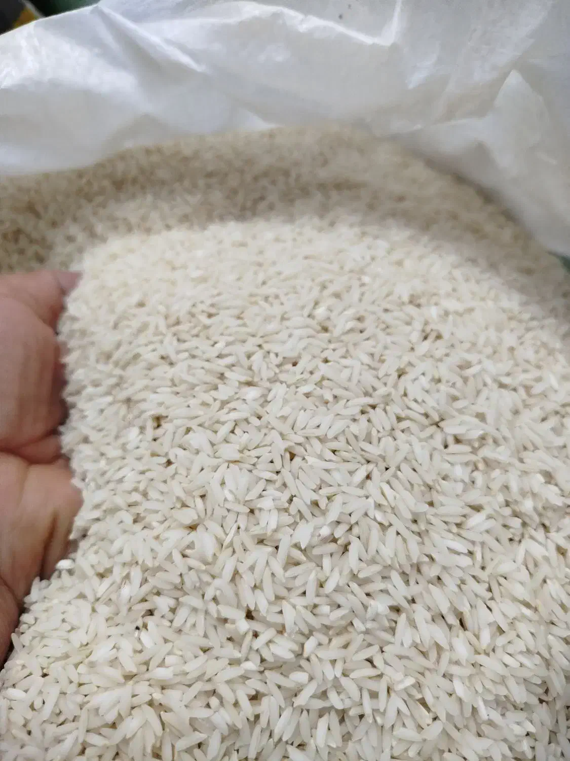 برنج طارم هاشمی و صدری|خوردنی و آشامیدنی|بروجرد, |دیوار