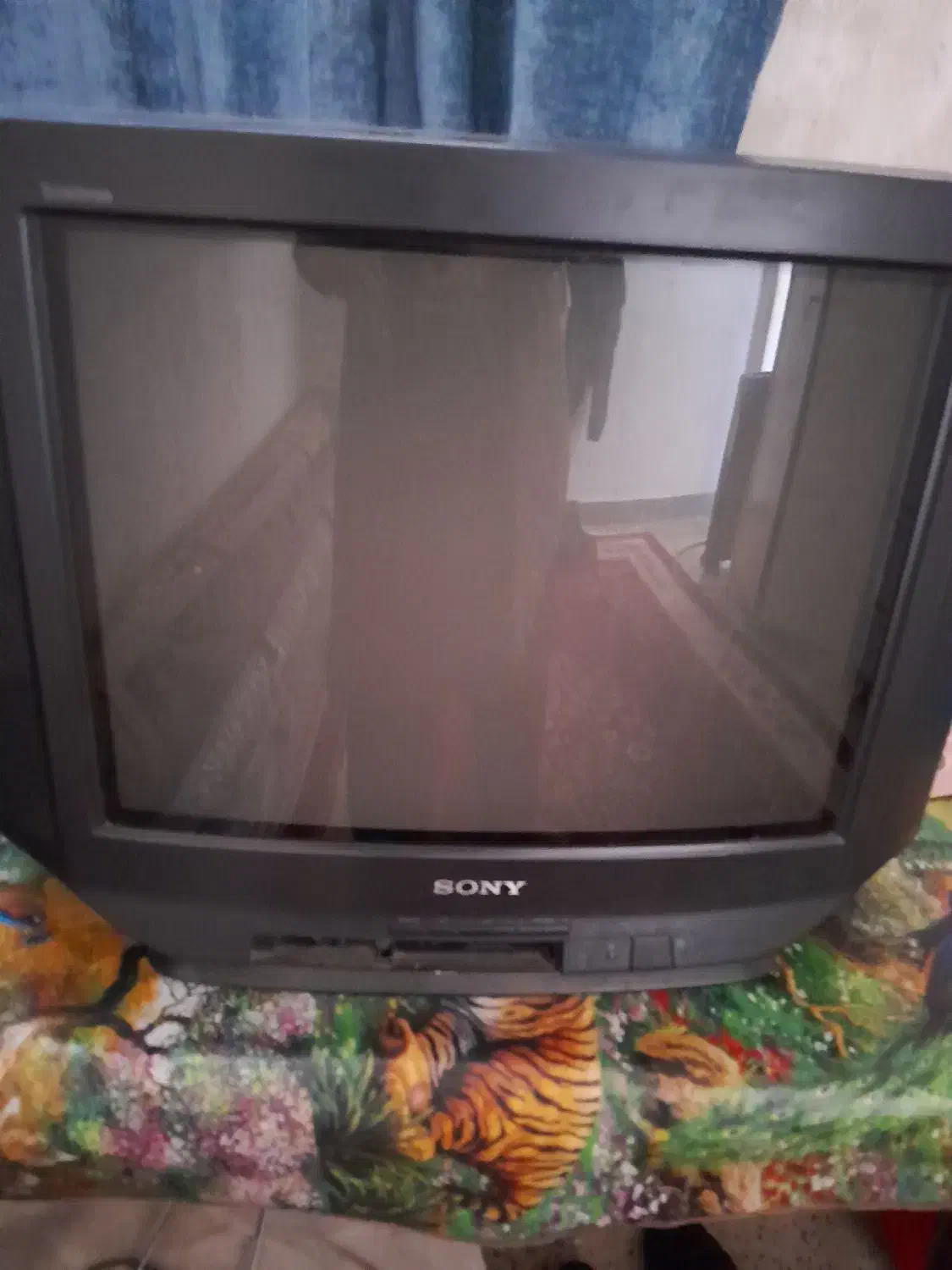 تلویزیون|تلویزیون و پروژکتور|اندیمشک, |دیوار