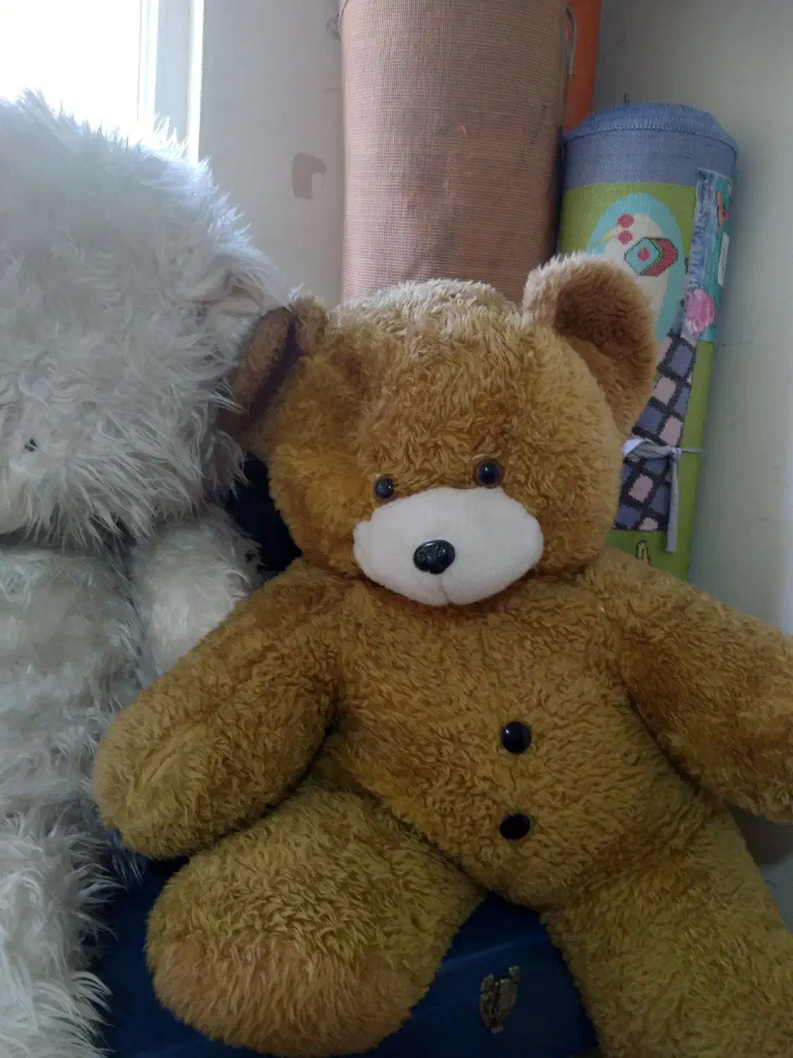 عروسک پشمی ۵۰۰هزار|اسباببازی|هشتگرد, شهرک ارم غربی|دیوار