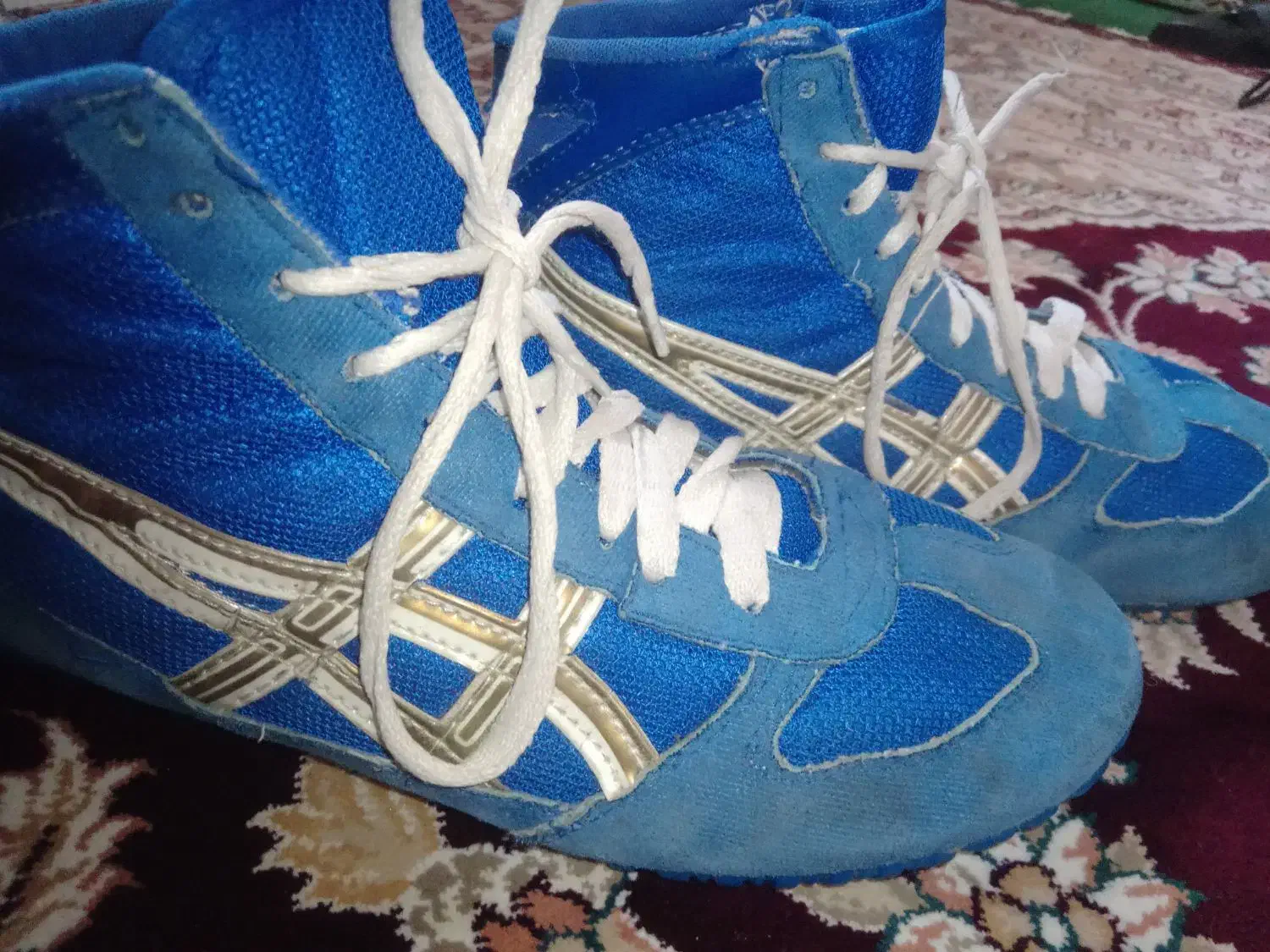 کفش کشتی|کیف، کفش، کمربند|فسا, |دیوار