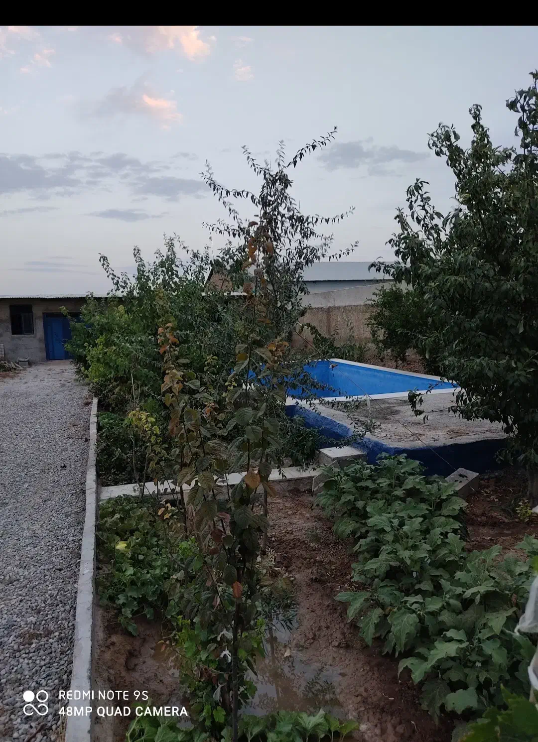 ۱۰۰۰ مترباغچه همراه سوله قرچک داوداباد|فروش دفتر صنعتی، کشاورزی، تجاری|قرچک, داوود آباد|دیوار