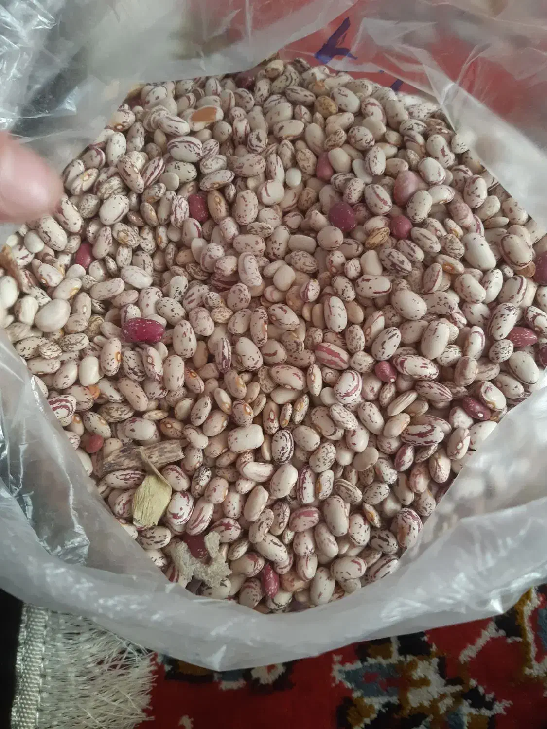 باقلی|خوردنی و آشامیدنی|فومن, |دیوار