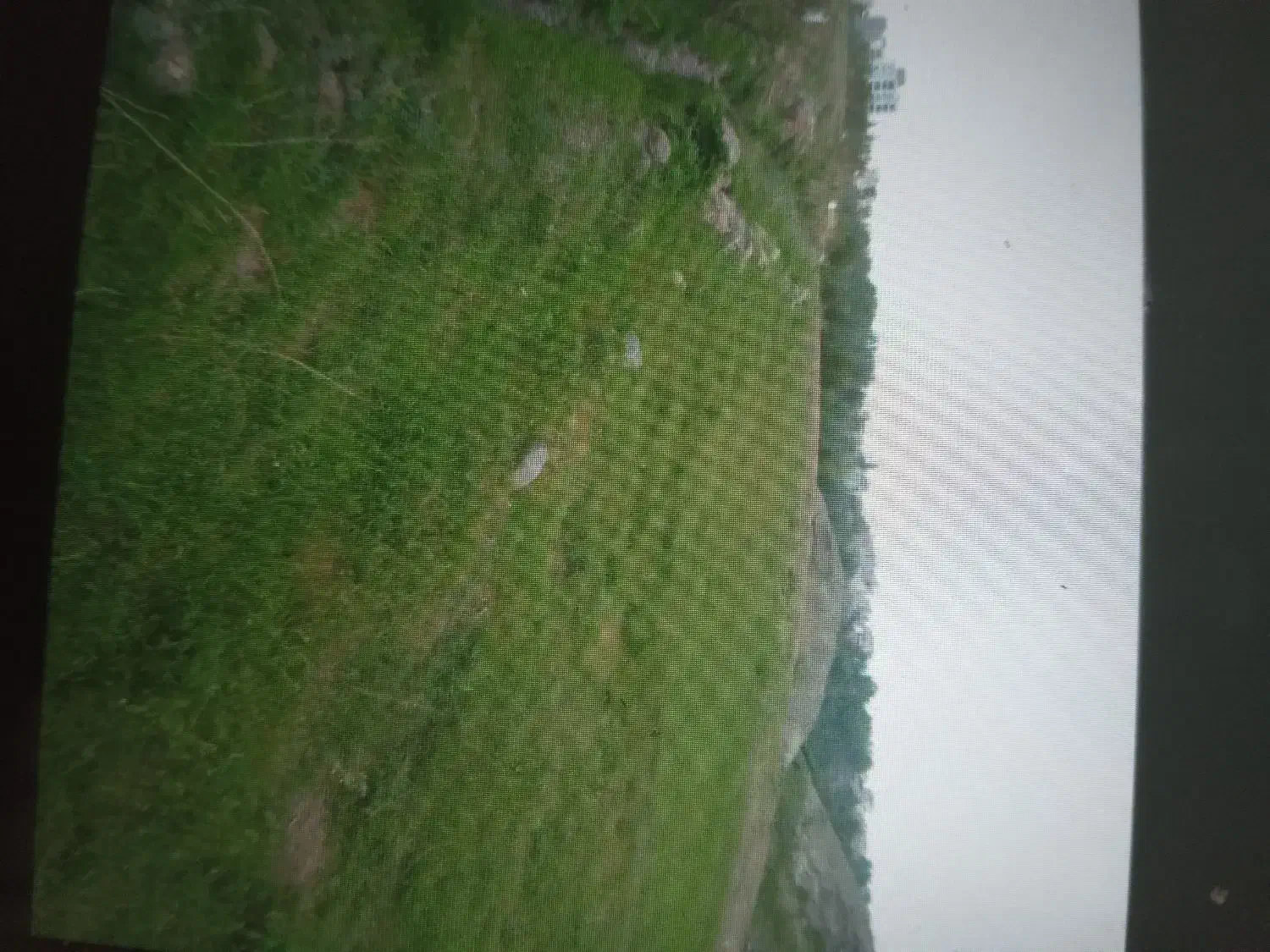 فروش زمین کشاورزی|فروش دفتر صنعتی، کشاورزی، تجاری|مشگین شهر, |دیوار